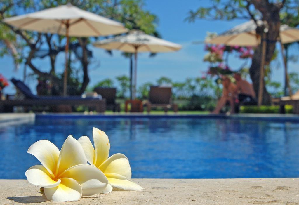 Frangipani Beach Hotel Lovina Exterior foto